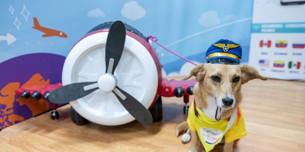 Expopet 2025: la feria de mascotas en Bogotá que celebra 10 años de diversión y aprendizaje
