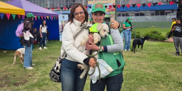 Nueva jornada de adopción de perros y gatos impulsada por el Distrito