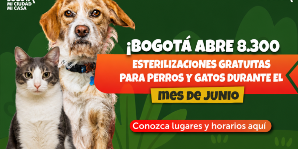 Últimos cupos gratuitos de esterilización para perros y gatos en varias localidades de Bogotá