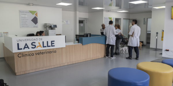 Más de cuatro décadas salvando vidas: el corazón médico que late en la Clínica Veterinaria de la Universidad de La Salle